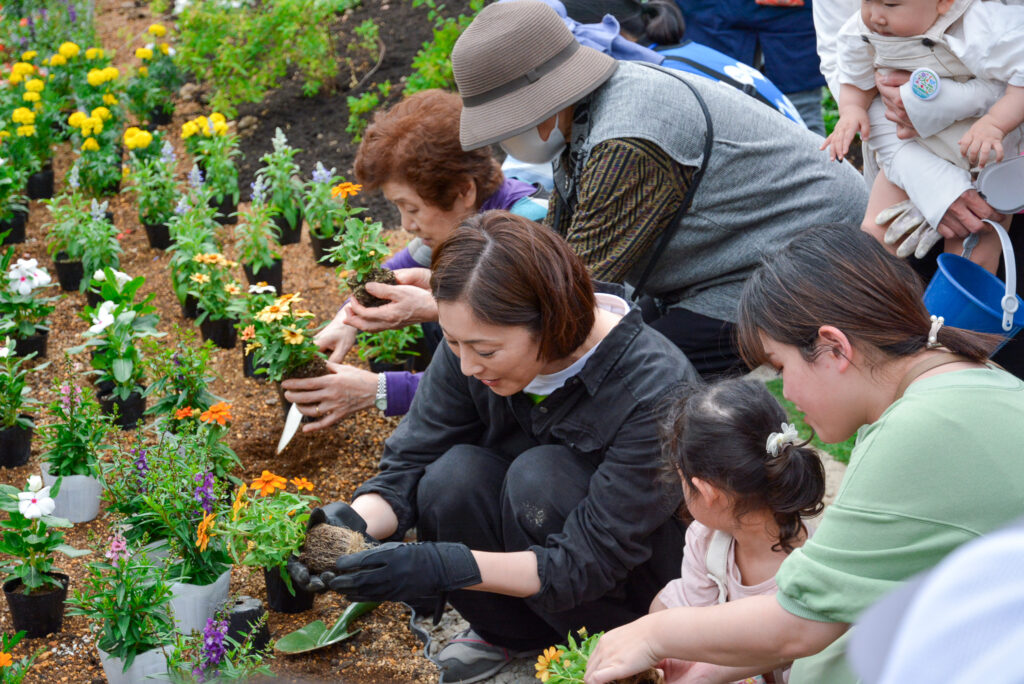 能登の4地区で常盤さんと花植えをしました